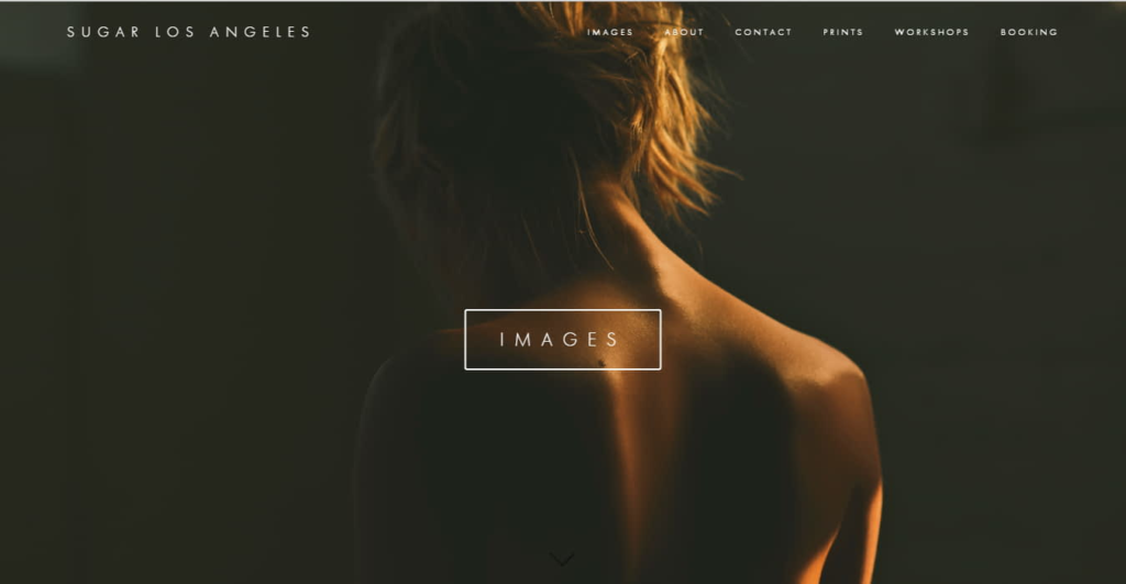 Squarespace website example from adversary template