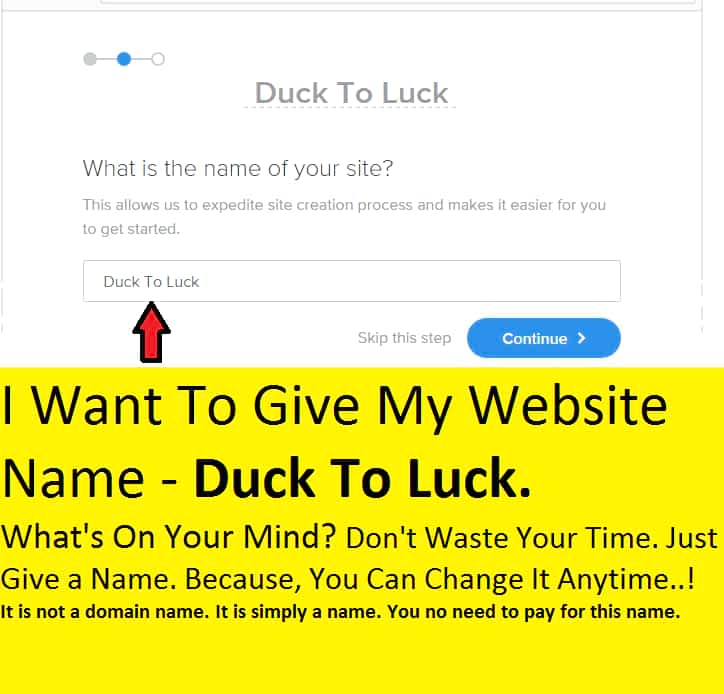 Type your website name. It is not a domain name. You can change it later.