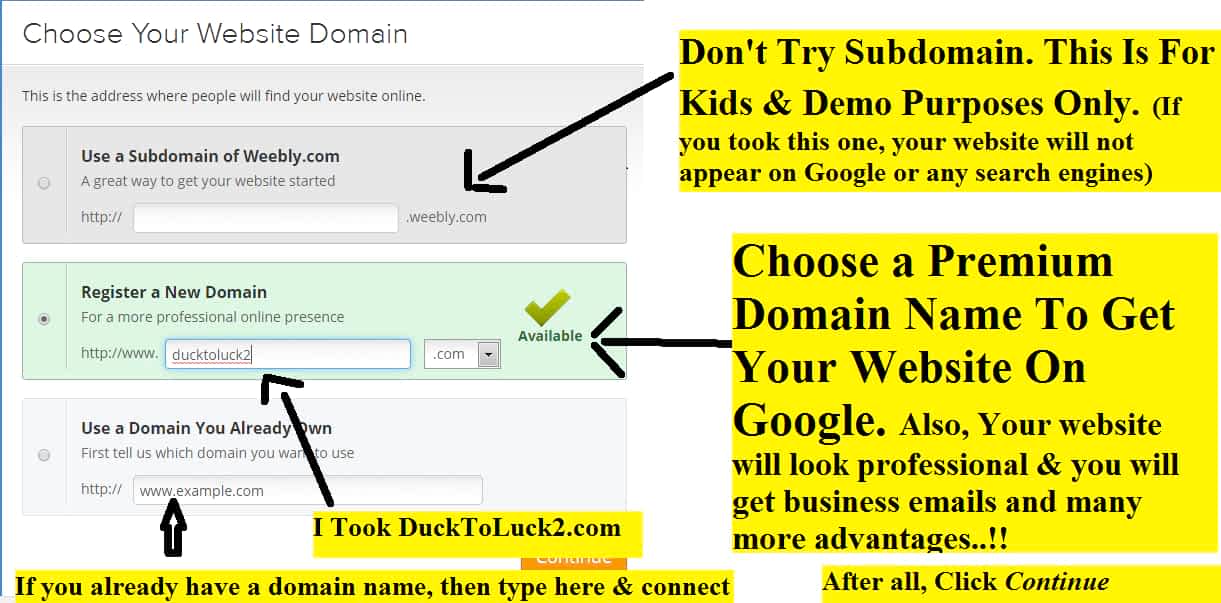 Type the name you wanted to give your website. If that name is available, make it your domain name for your website.