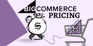 BigCommerce Pricing - 10 Clever Ways To Avoid Extra Cost (Save 40% Per Year!)