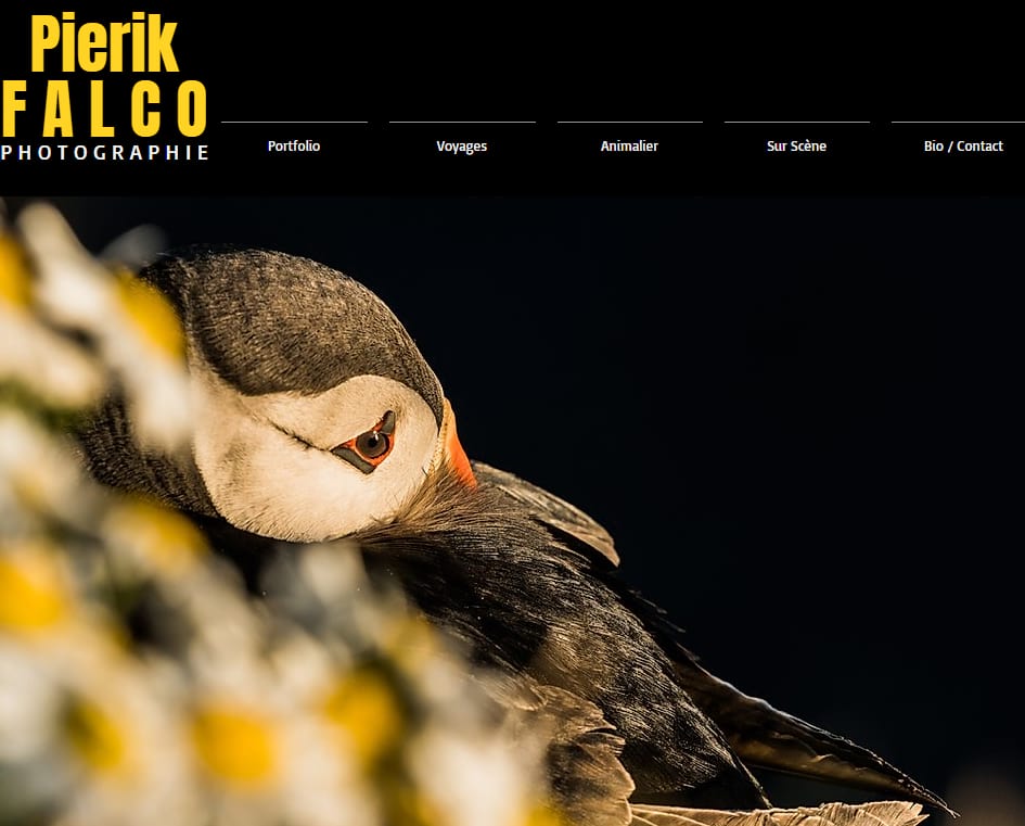 Plerik Falcos photography website