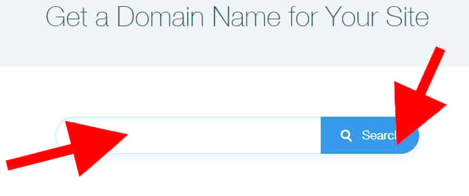 type your domain name